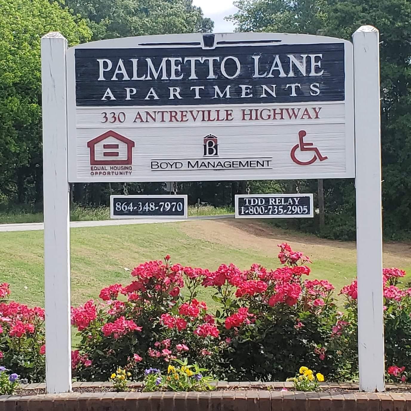 Palmetto Lane